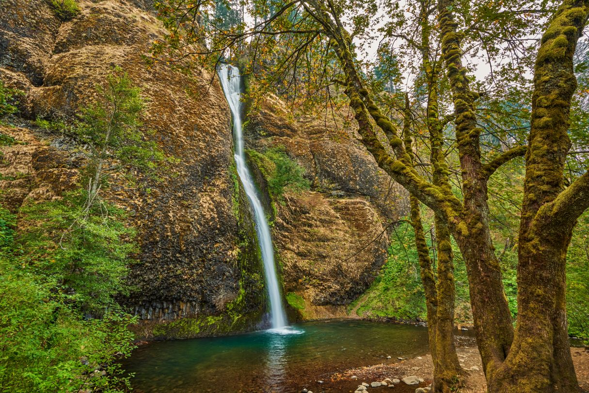 rz-pdxrz-local-area-waterfall-62274_Classic-Hor.jpg